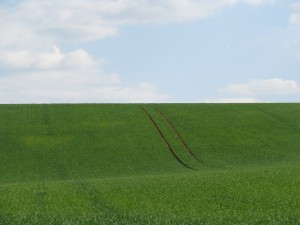 IMG_8232